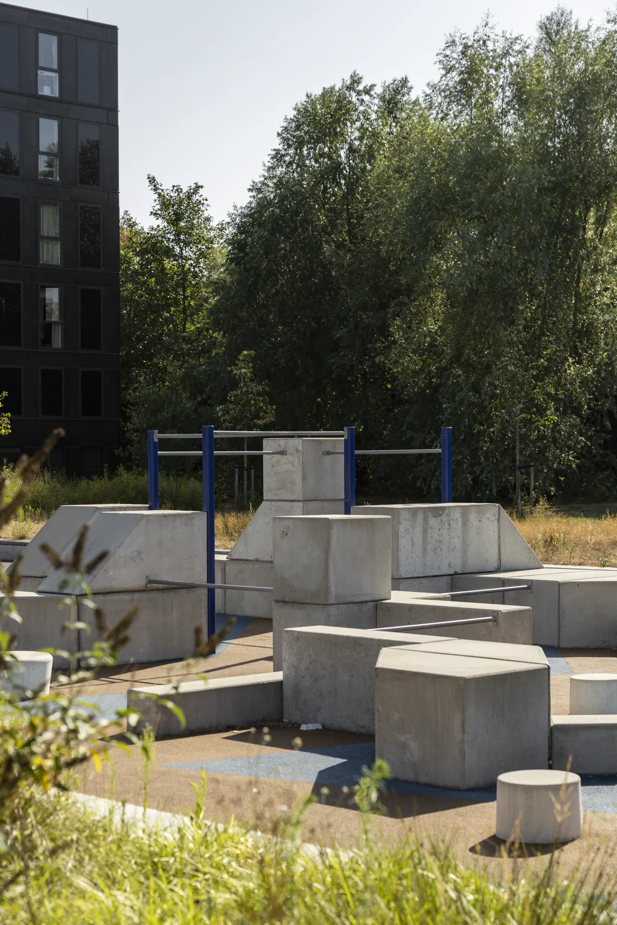 Calisthenics in Amsterdam
